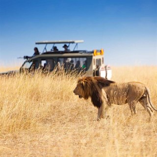 BINROTAGATK6Güney Afrika Safari Turu Rotası Vizesiz THY ile 6 Gece 8 Gün