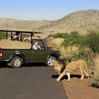 BINROTAGATK6Güney Afrika Safari Turu Rotası Vizesiz THY ile 6 Gece 8 Gün