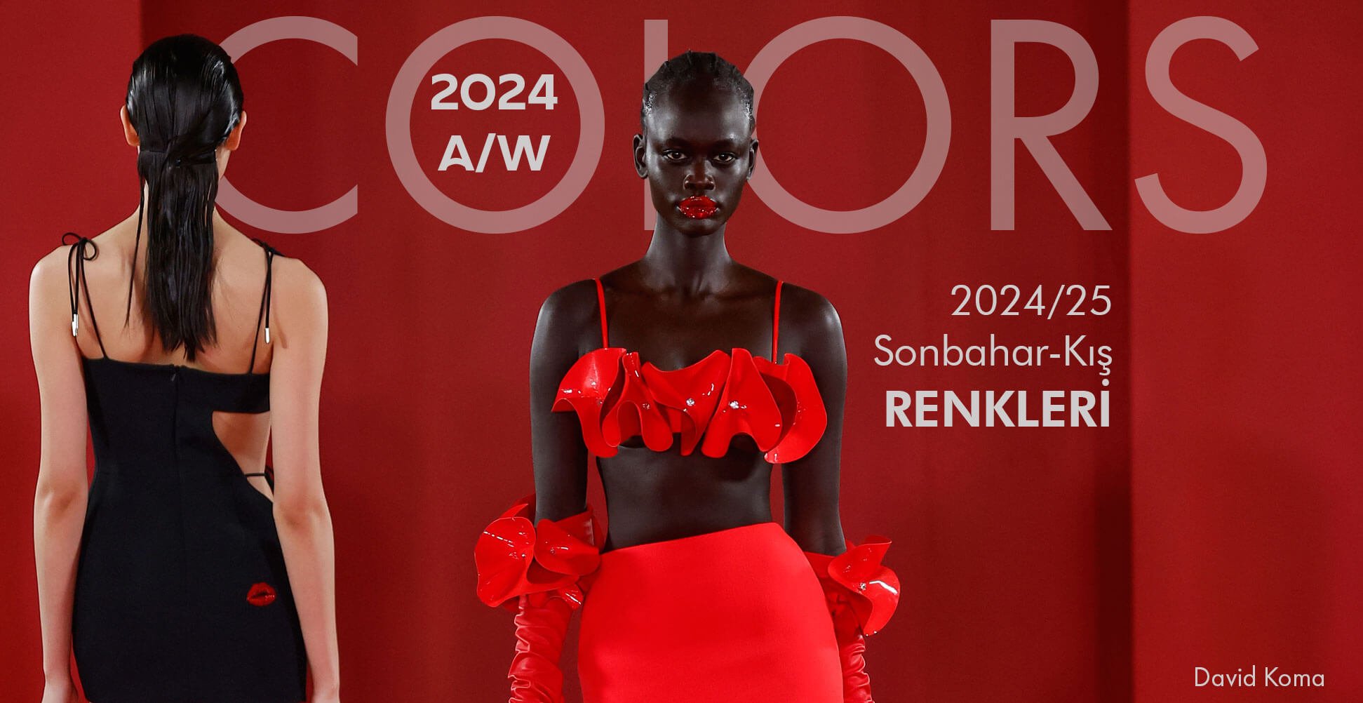 2024 / 2025 SONBAHAR KIŞ RENKLERİ