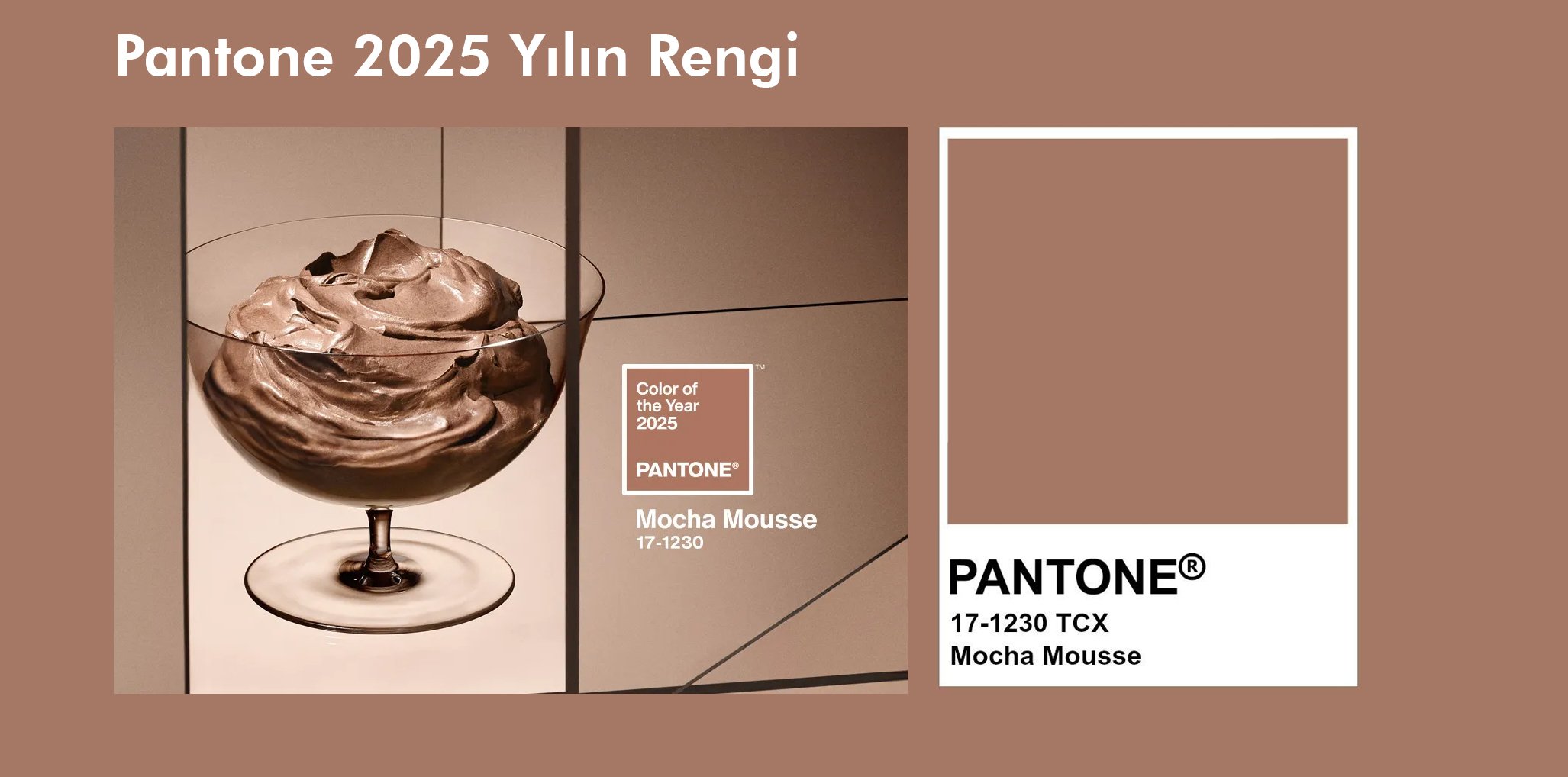 Pnatone 2025 Yılın Rengi 