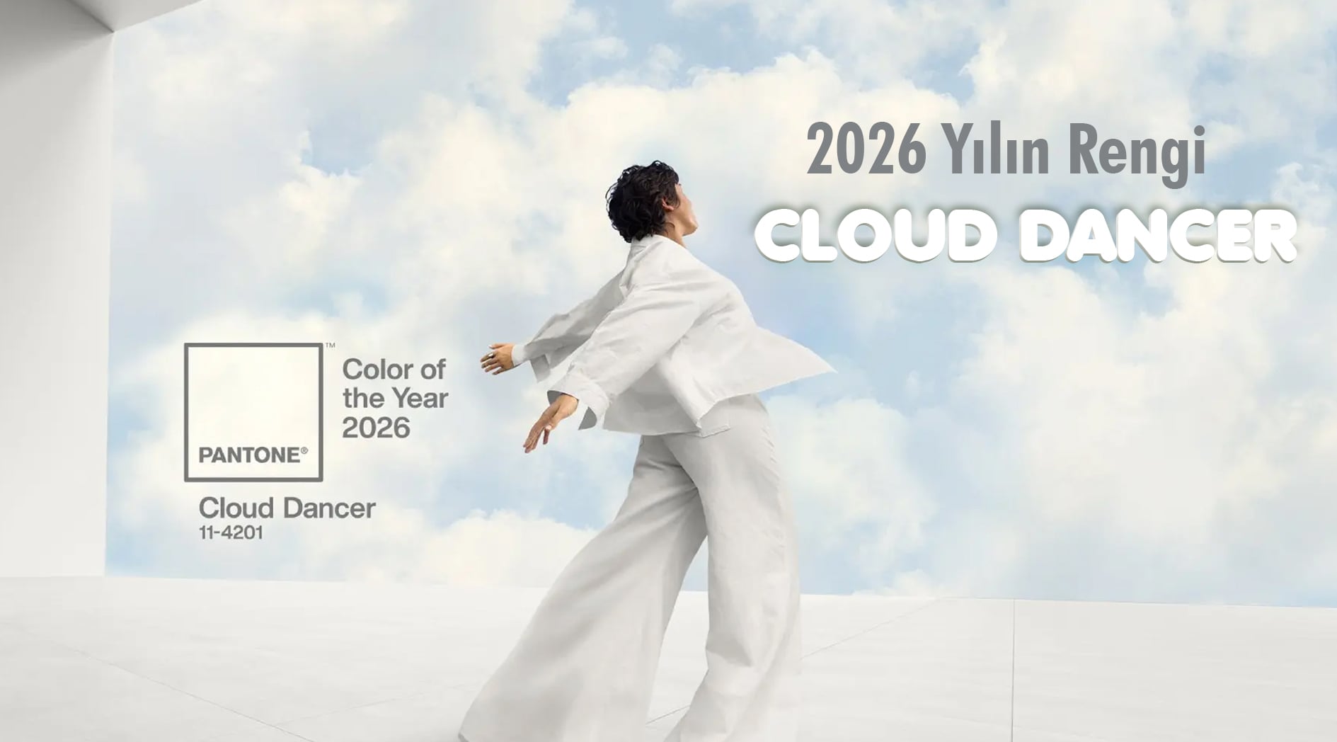 Pantone 2026 Yılın Rengi, Cloud Dancer