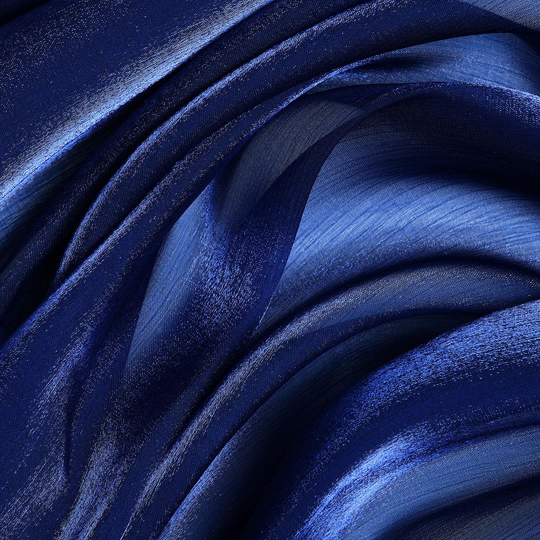 Valentino Organze Parlement 281