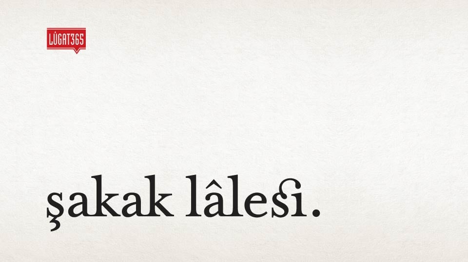 şakak lalesi