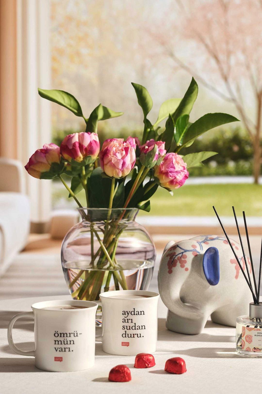 Aydan Arı Sudan Duru Porselen Kupa