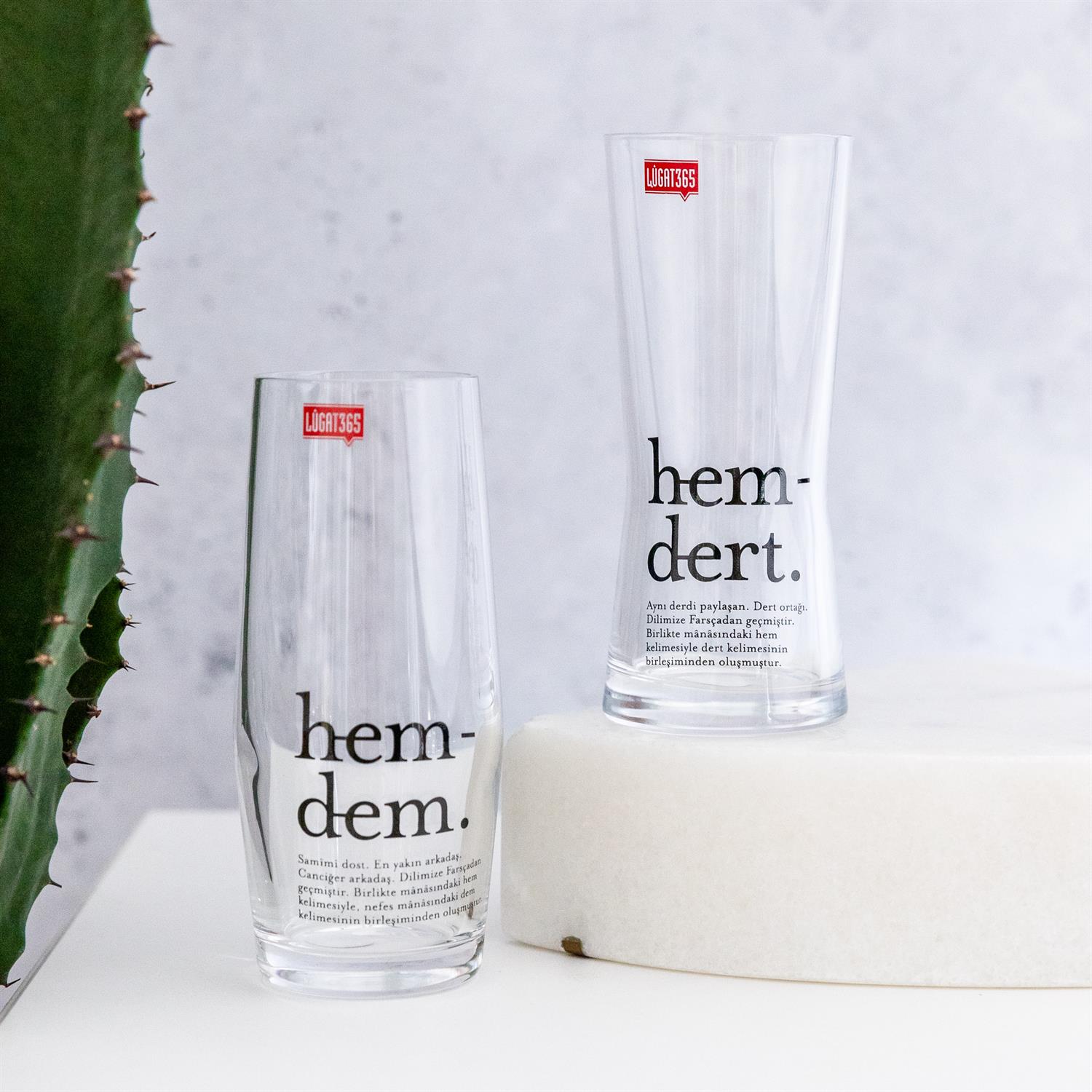 Hemdem & Hemdert Cam Rakı Seti 2li