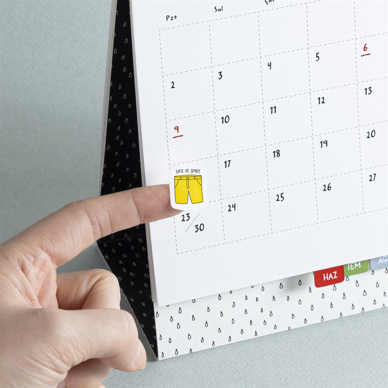 Hisli Şeyler Çıkartma Albümü