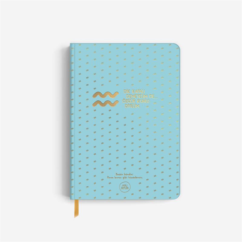 Hisli Şeyler Kova Burcu Sert Kapaklı Defter