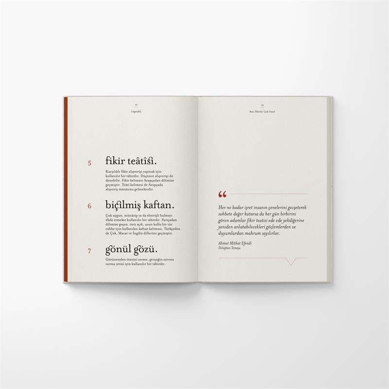 Bazı Tâbirler Çok Güzel