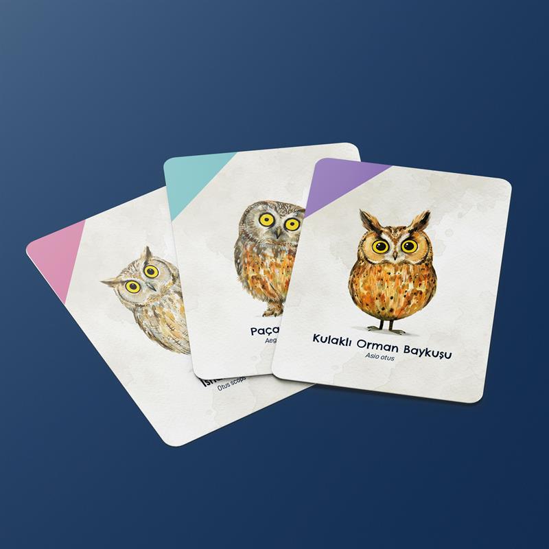 Uyanık Kedi Kart Oyunu