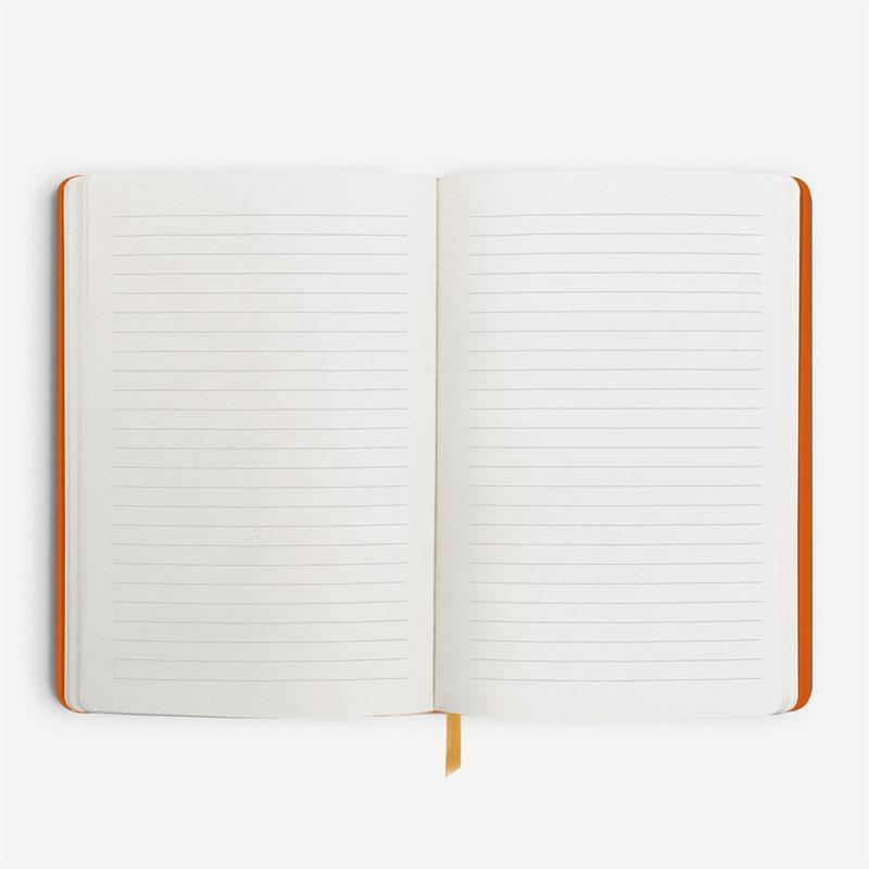 Hisli Şeyler Aslan Burcu Sert Kapaklı Defter