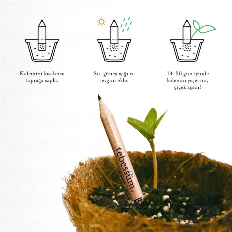 Tebessüm Tohumlu Kalem