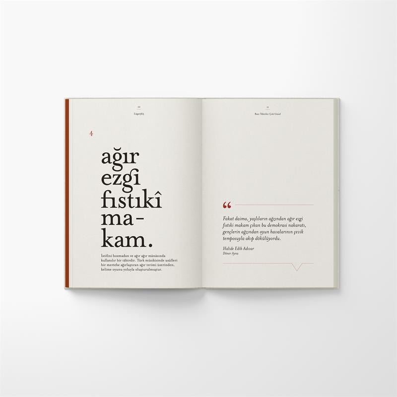 Lûgat365 Kitap Seti