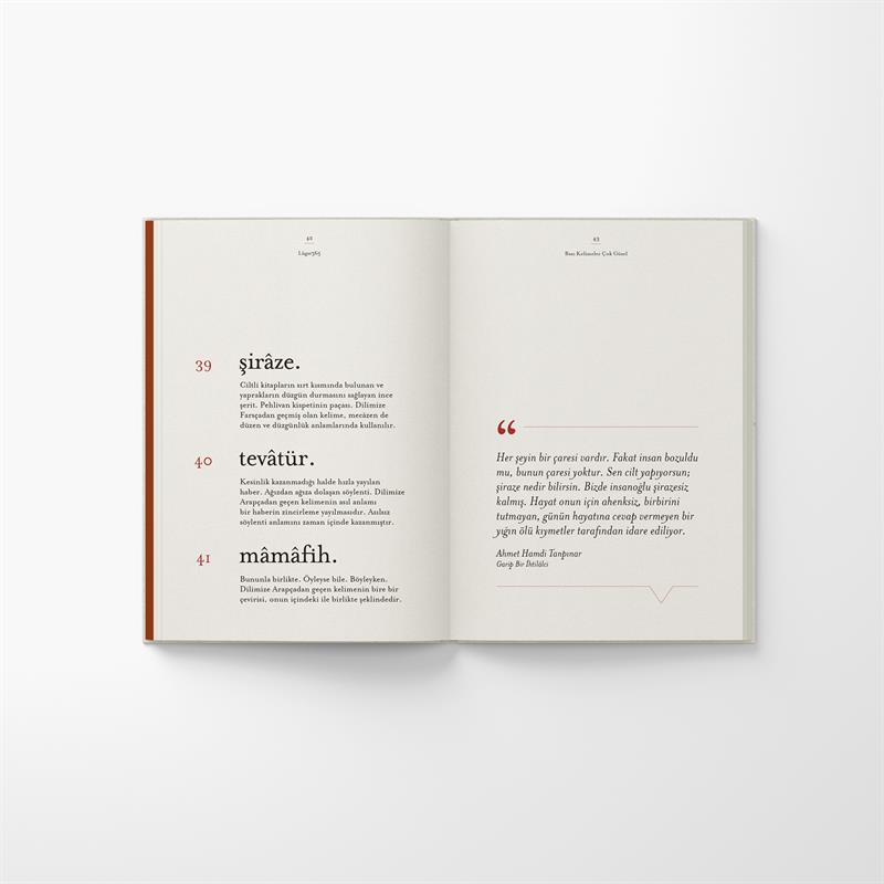 Lûgat365 Kitap Seti