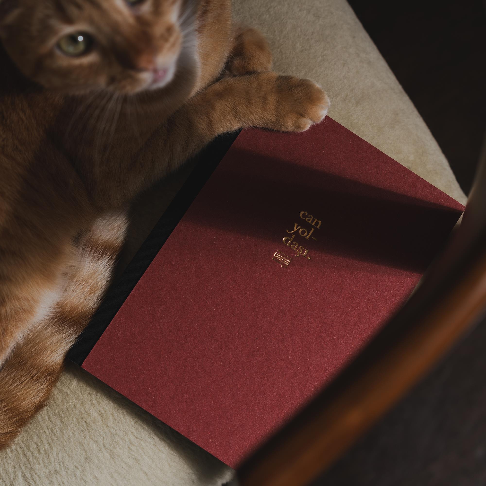 Lûgat365Can Yoldaşı Dolmakalem Uyumlu Defter