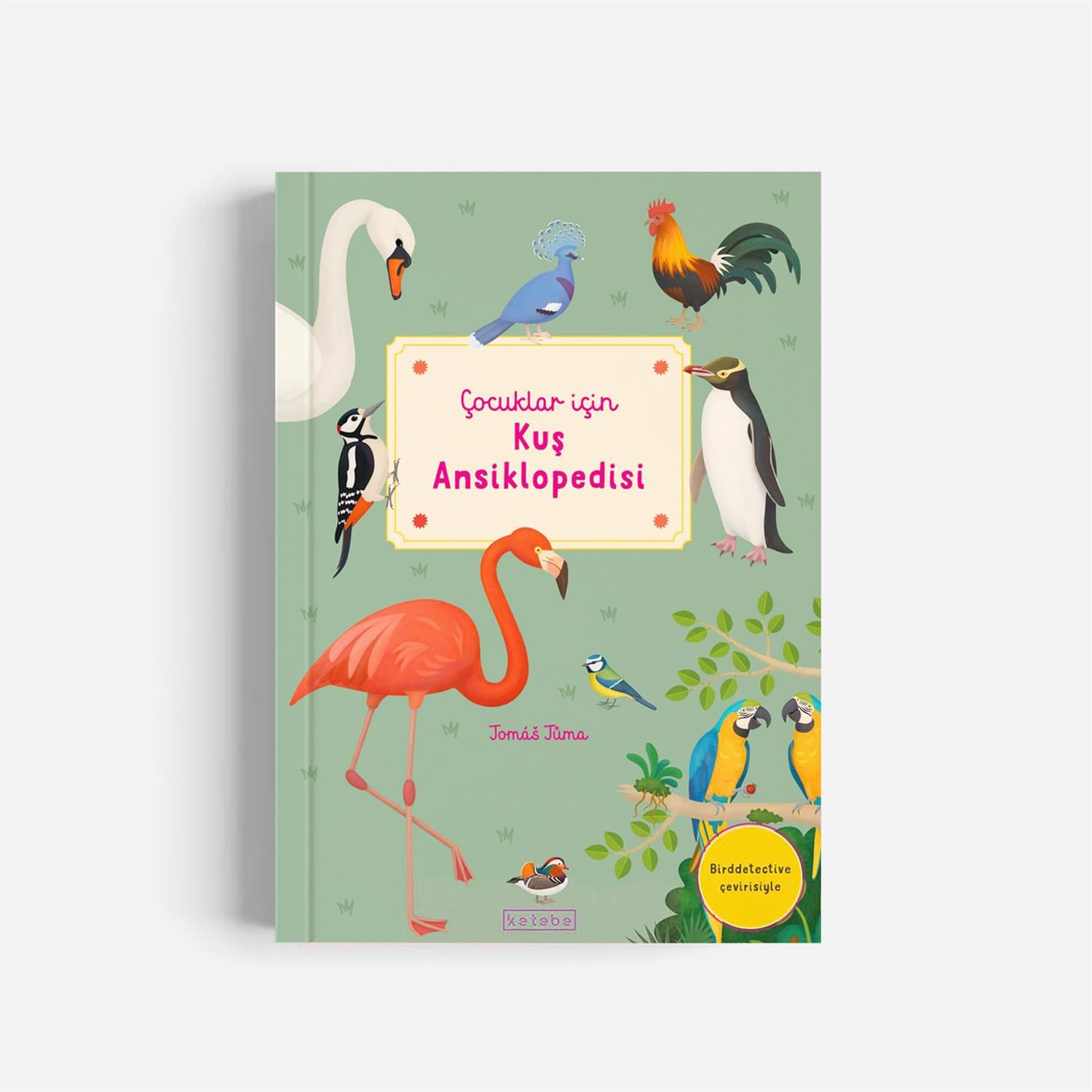 Kitap SeçkimizÇocuklar İçin Kuş Ansiklopedisi