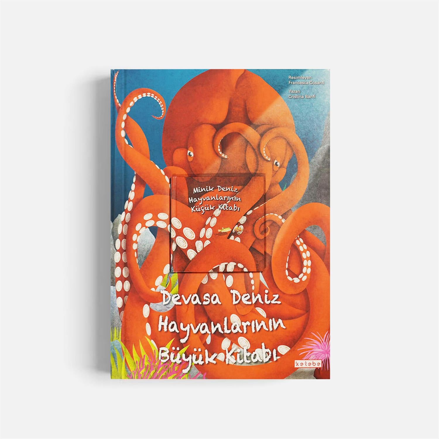 Kitap SeçkimizDevasa Deniz Hayvanlarının Büyük Kitabı ve Minik Deniz Hayvanlarının Küçük Kitabı