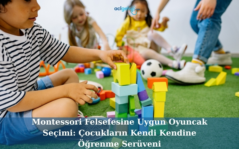 Montessori Felsefesine Uygun Oyuncak Seçimi: Çocukların Kendi Kendine Öğrenme Serüveni