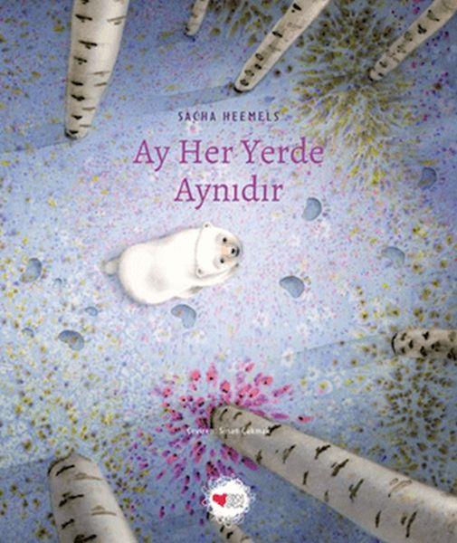 Ay Her Yerde Aynıdır