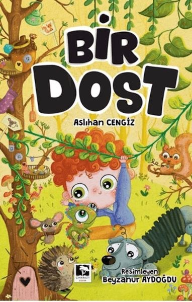 Bir Dost