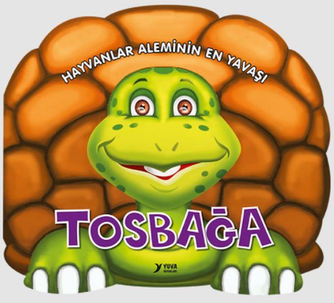Hayvanlar Aleminin En Yavaşı : Tosbağa