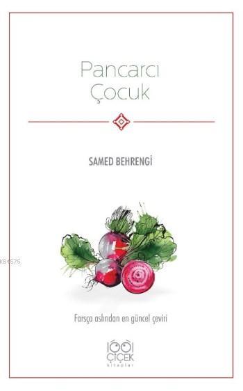 Pancarcı Çocuk