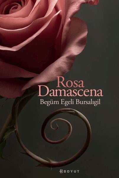 Rosa Damascena (Damask Gülü)