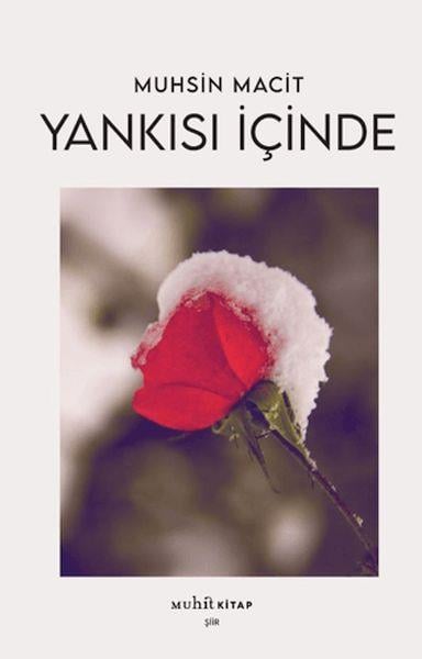 Yankısı İçinde