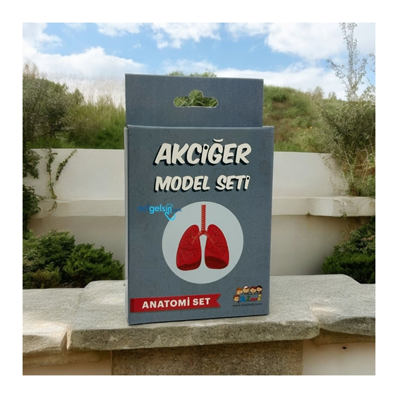 Akciğer Deney Seti