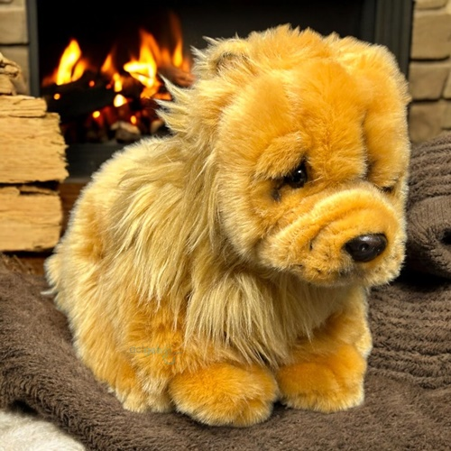 Animals World Floppy Chow Chow (çin Aslanı)