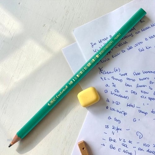Bic Evolution Kurşun Kalem Hb/2
