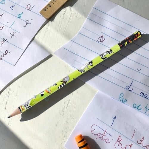 Bruno Visconti Kurşun Kalem Happygraphix Rakun
