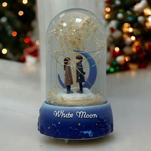 Gift Point Dekoratif Işıklı Fanus White Moom 2s