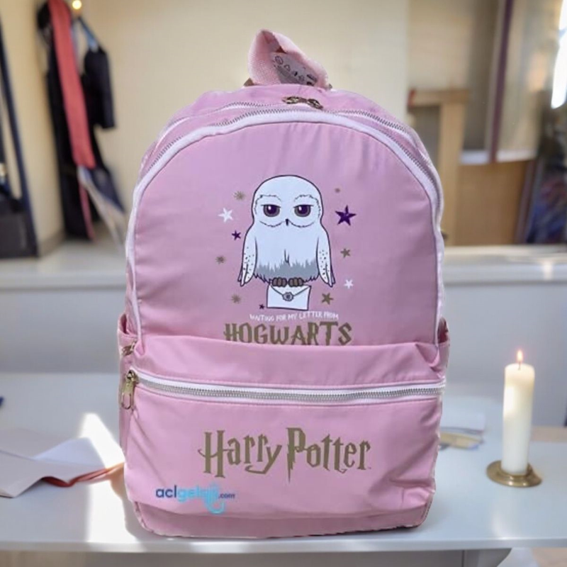Harry Potter Hogwarts Okul Çantası 2104