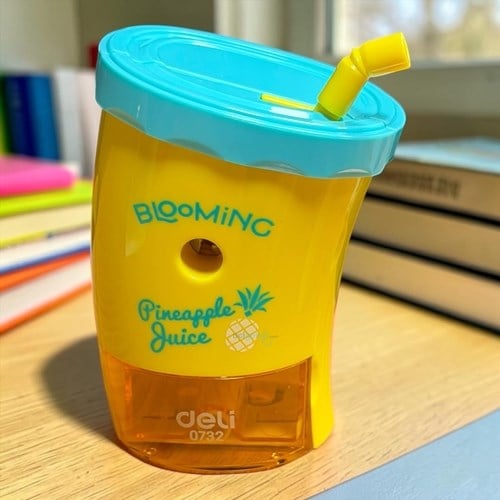 Masa Üstü Blooming Ananas Bardak Model Kollu Kalemtraş