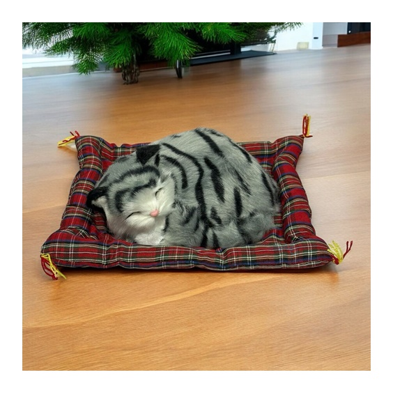 Minderde Uyuyan Tatlı Patiler Kedi