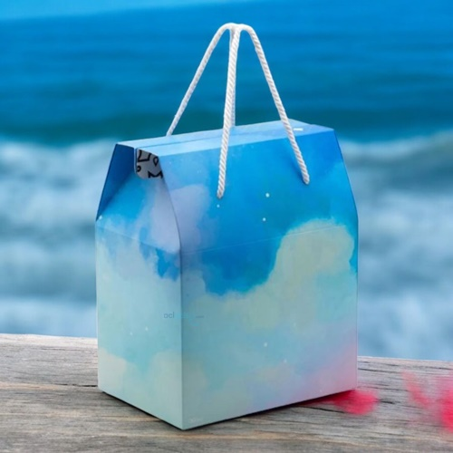 Ogtwo Elite Premium Konsept Tasarım Hediyelik Kutu Çanta Blue Sky Bag