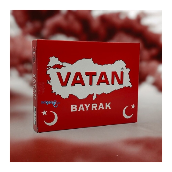 Vatan Türk Bayrağı 70x105 Cm -106