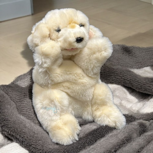 Animals World Floppy Peluş Golden Retriever Kukla