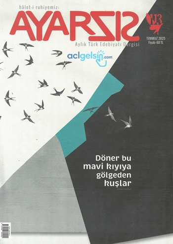 Ayarsız Dergisi Kasım 2025/113