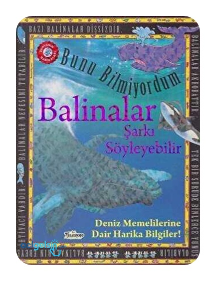 Balinalar Şarkı Söyleyebilir - Bunu Bilmiyordum - Deniz Memelilerine Dair Harika Bilgiler!