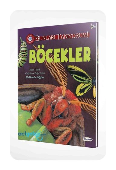 Bunları Tanıyorum! - Böcekler