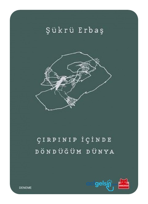 Çırpınıp İçinde Döndüğüm Dünya