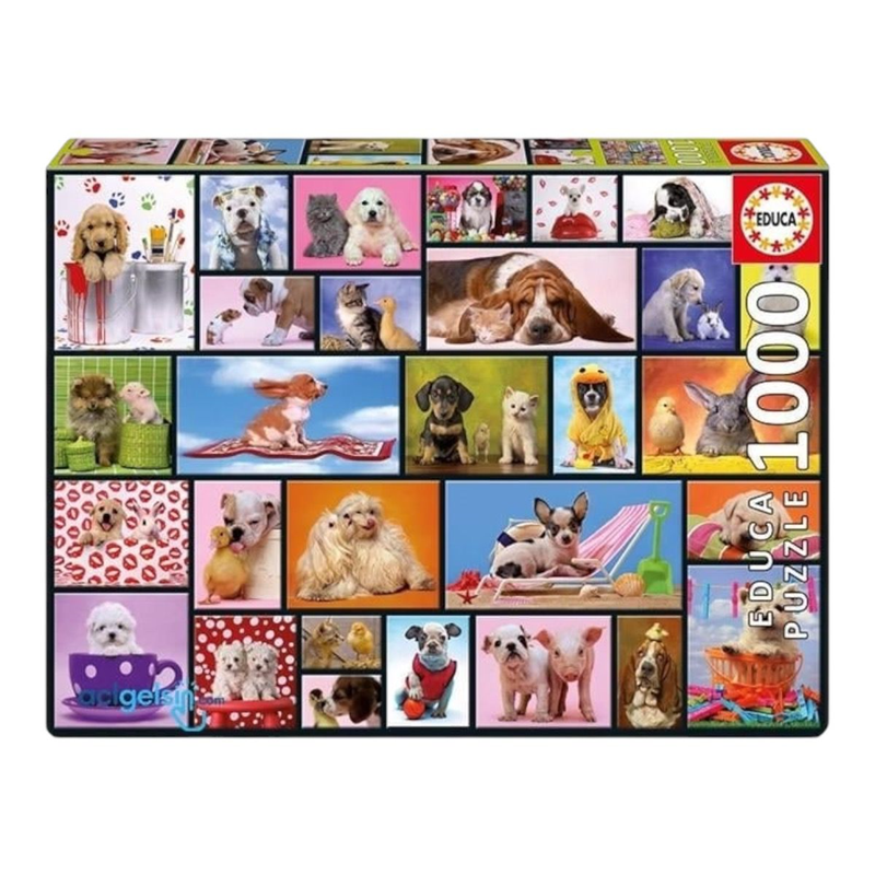 Educa Puzzle 1000 Parça Shared Moments