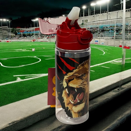 Galatasaray Lisanslı Tritan Matara 500 Ml 24593