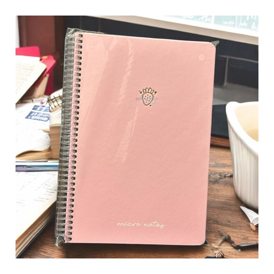 Gıpta Micro Sert Kapak Defter 17x24 100 Yaprak Çizgisiz