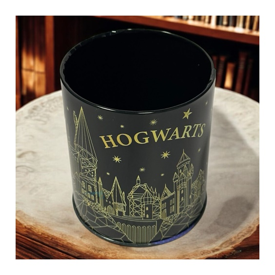 Harry Potter Masa Üstü Metal Kalemlik