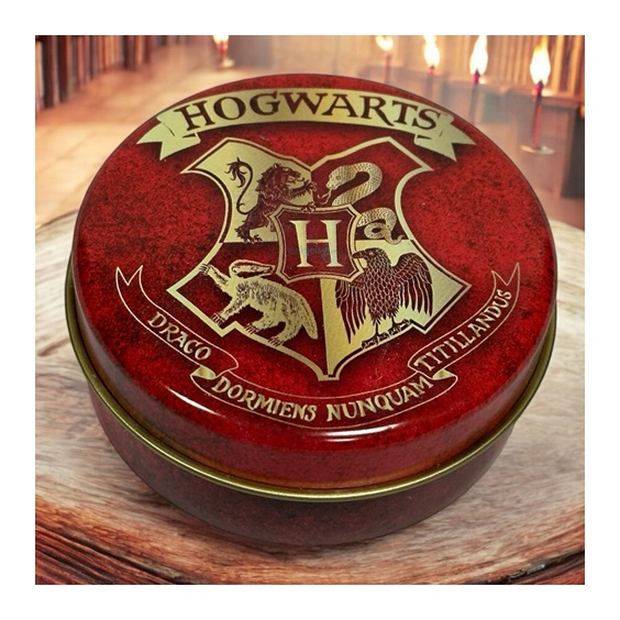Harry Potter Metal Kokulu Mumluk Silindir Kapak