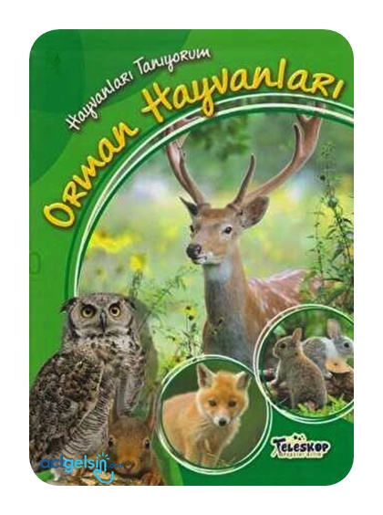 Hayvanları Tanıyorum Orman Hayvanları