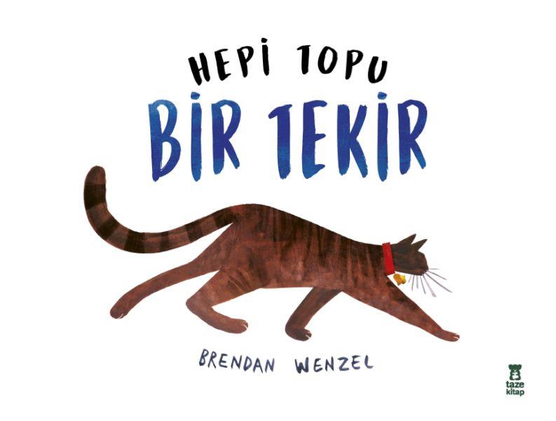 Hepi Topu Bir Tekir
