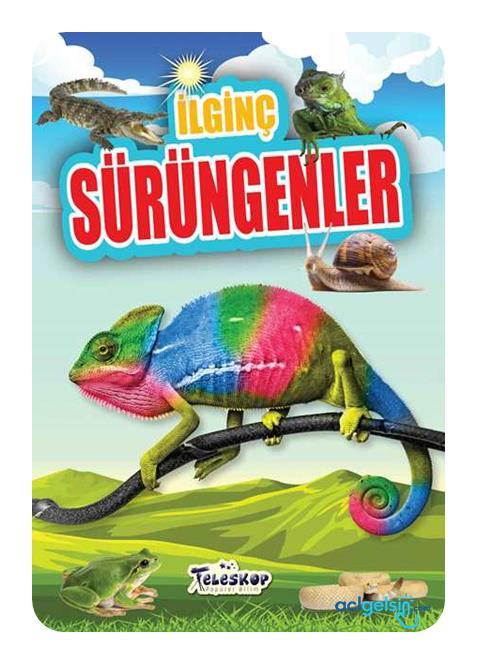 İlginç Sürüngenler - İlginç Bilgiler Serisi